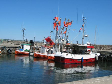 Zum Aquarell "Bornholm Snogebaek"