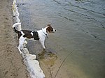 Anbaden im Baggersee