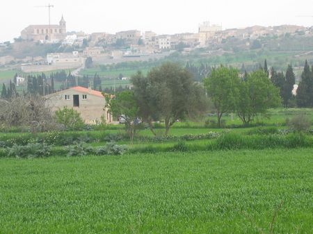 Mallorcinische Landschaft