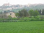 Mallorcinische Landschaft